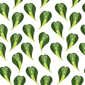 Images Dated 9th January 2024: Philodendron Seamless Print