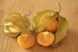 Physalis Fruit Prints: Physalis