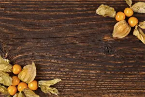 Agricultural Produce Prints: Physalis background with copyspace