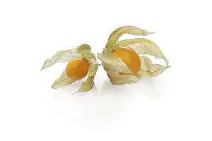 Fruit Still Life Prints: Two physalis with shadow on white background