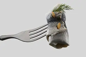Pickled Herring Prints: Pickled herring (Rollmops) on a fork