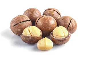 Macadamia Nuts Prints: Pile of macadamia nuts with shell isolated on white background