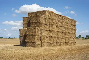 Pile of rectangular straw bales Print, Ystad, Sweden