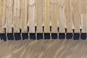 Close Up Tree Trunk Prints: Pine wood deck weathered in beach sand pattern texture detail