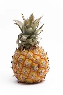 Exotic Fruit Images Prints: Pineapple