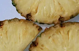 Grocery Store Produce Prints: Pineapple fruit (Ananas comosus)