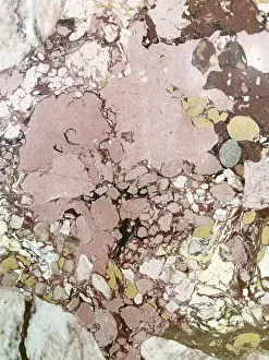 Marble Surface Design Prints: Pink and brown marble surface with natural patterns