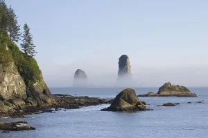 Olympic National Park USA Prints: Pinnacles on the coast at La Push