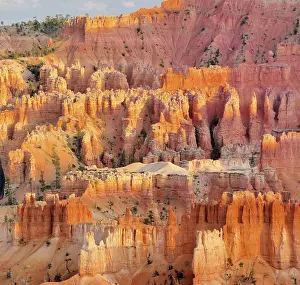US National Parks Scenic Beauty Prints: Pinnacles in the evening light