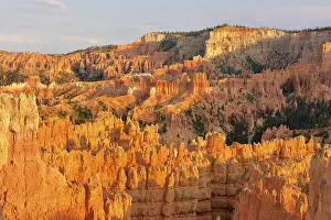 Bryce Canyon National Park Prints: Pinnacles in the evening light