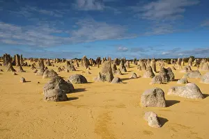 Western Australia Landscape Prints: The Pinnacles limestone formations