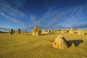 Australian Nature Reserves Prints: The Pinnacles limestone formations