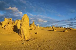 The Pinnacles Limestone Formations Prints: The Pinnacles limestone formations