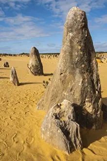 Western Australian Desert Landscape Prints: The Pinnacles limestone formations