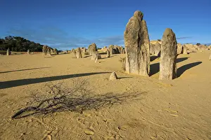 Western Australia Limestone Formations Prints: The Pinnacles limestone formations