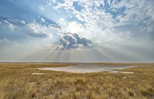 Cloudy Skies Photography Prints: Plain with dry yellow grass, dramatic clouds with sunbeams