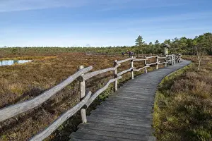 Nature Conservation Area Europe Prints: Plank path through the Black Moor