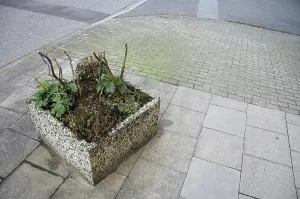 Desolate Urban Landscape Prints: Planter box