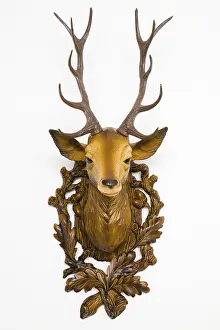 Plastic Hunting Trophies Prints: Plastic deer head, frontal view