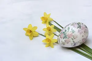 Colorful Decoration Prints: Plastic easter egg and daffodil, Easter