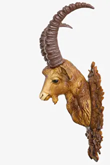 Prints of Plastic head of an ibex, profile Alpine Ibex Prints: Plastic Head of an Ibex Print