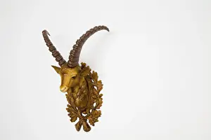 Prints of Plastic head of an ibex, side view Alpine Ibex Prints: Plastic Ibex Head Print, Side View