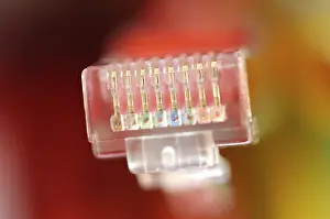 Coloured Network Cables Prints: Plug of a coloured network cables for computer