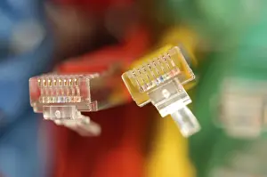 Computer Hardware Equipment Prints: Two plugs of a coloured network cables for computer