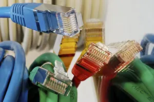Coloured Network Cables Prints: Plugs of a coloured network cables for computer
