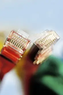Computer Hardware Equipment Prints: Two plugs of a coloured network cables for computer