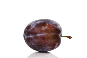 Studio Background For Food Still Life Prints: Plum