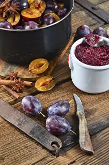Homemade Plum Spread Prints: Plum puree