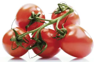 Plum Tomatoes Prints: Plum tomatoes