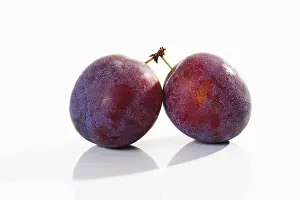 Stone Fruit Photography Prints: Plums