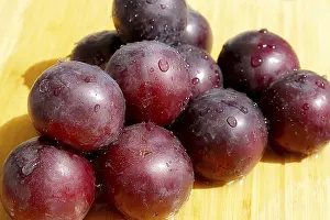 Close Up Fruit Prints: Plums, damsons