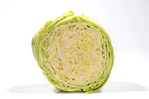 Close Up Vegetable Photography Prints: Pointed cabbage, cut open
