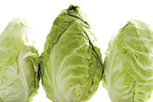 Vegetarian Dish Ideas Prints: Pointed cabbage, three heads