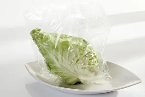 Green Vegetable Nutrition Prints: Pointed cabbage packaged for the microwave
