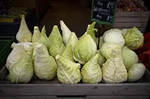 Pointed Cabbage Prints: Pointed cabbage, pointed cabbage