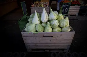 Stuttgart Market Stall Prints: Pointed cabbage, pointed cabbage