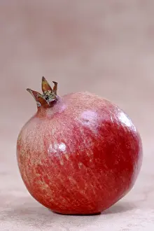 Open Air Photography Prints: Pomegranate