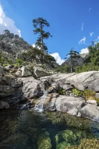 Mountain Creek Waterfall Prints: Pool and small waterfall in the mountains