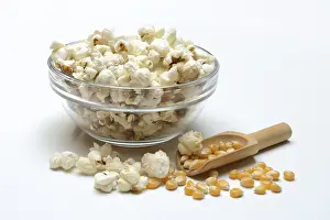 Nutrition Facts Corn Prints: Popcorn (Zea mays) in shell and corn kernels