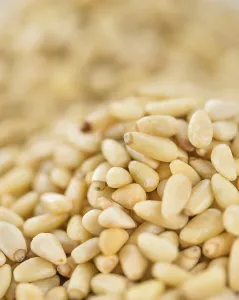 Rustic Food Style Prints: Portion of fresh Pine Nuts (close-up shot)
