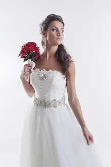 Beautiful Brunette Model Prints: Portrait of concentrated bride posing in studio