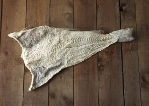 Marine Animals Prints: Cod, Codfish, Other animals, Fish