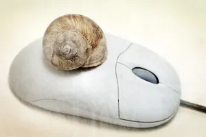 Studio Photography Backgrounds Prints: Computer mouse with a snail shell
