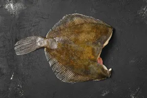High Angle View Of Raw Food Prints: Frozen flounder without head on black background