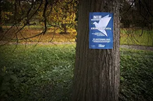 Freedom Of Expression Image Prints: Poster on a tree trunk, call for a demonstration against war