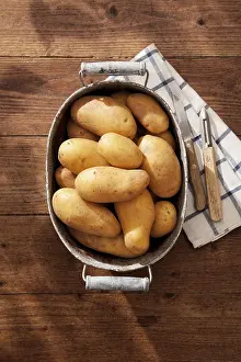 Detailed Botany Images Prints: Potatoes